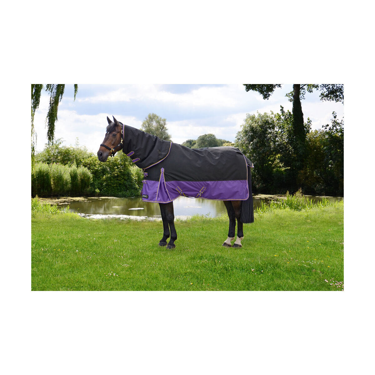 Picture of HY StormX Original 200g Horse Turnout Rug and Neck Set  | Mediumweight