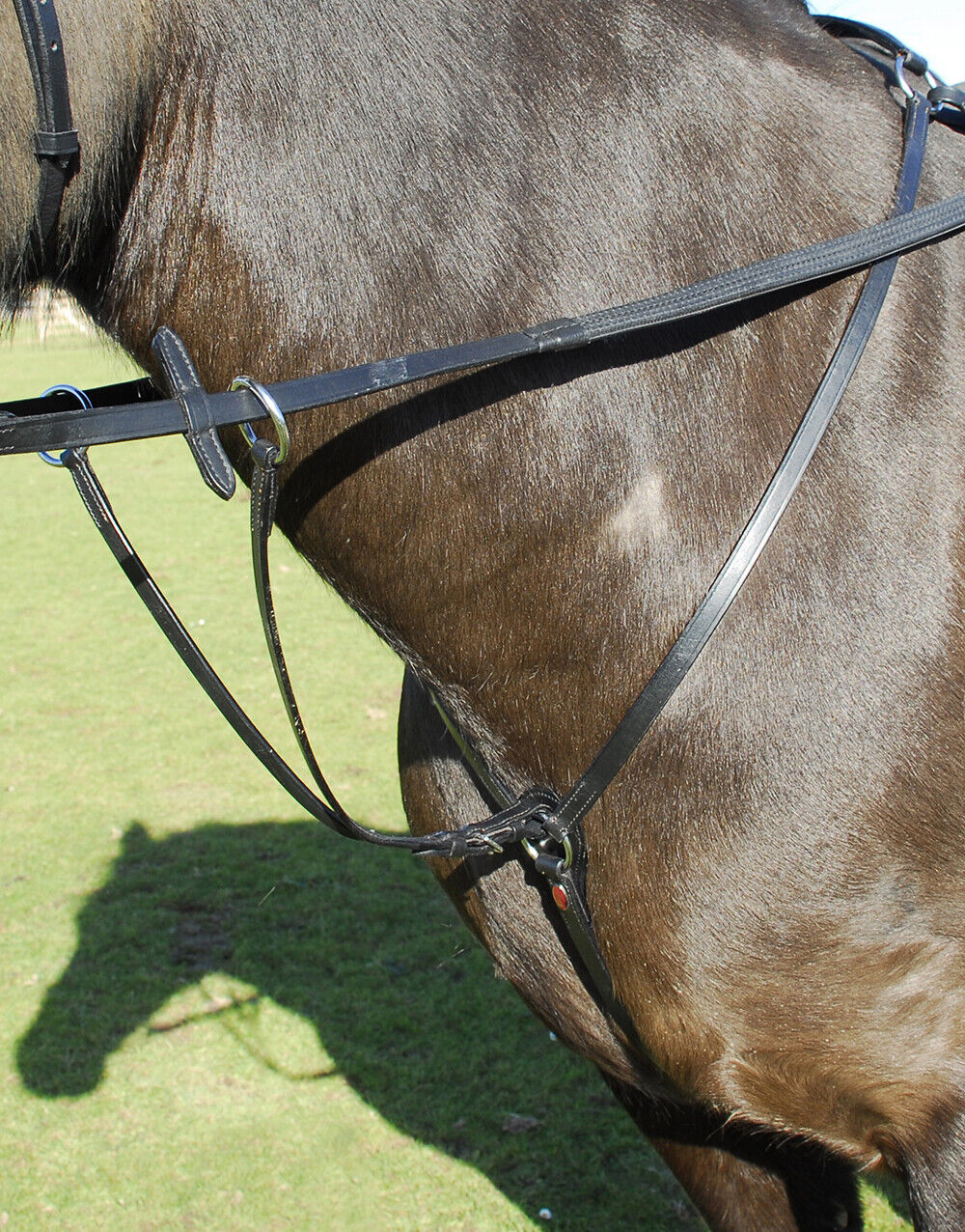 Picture of Windsor Leather Breastplate with Running Martingale | Black or Havana | 3 Sizes