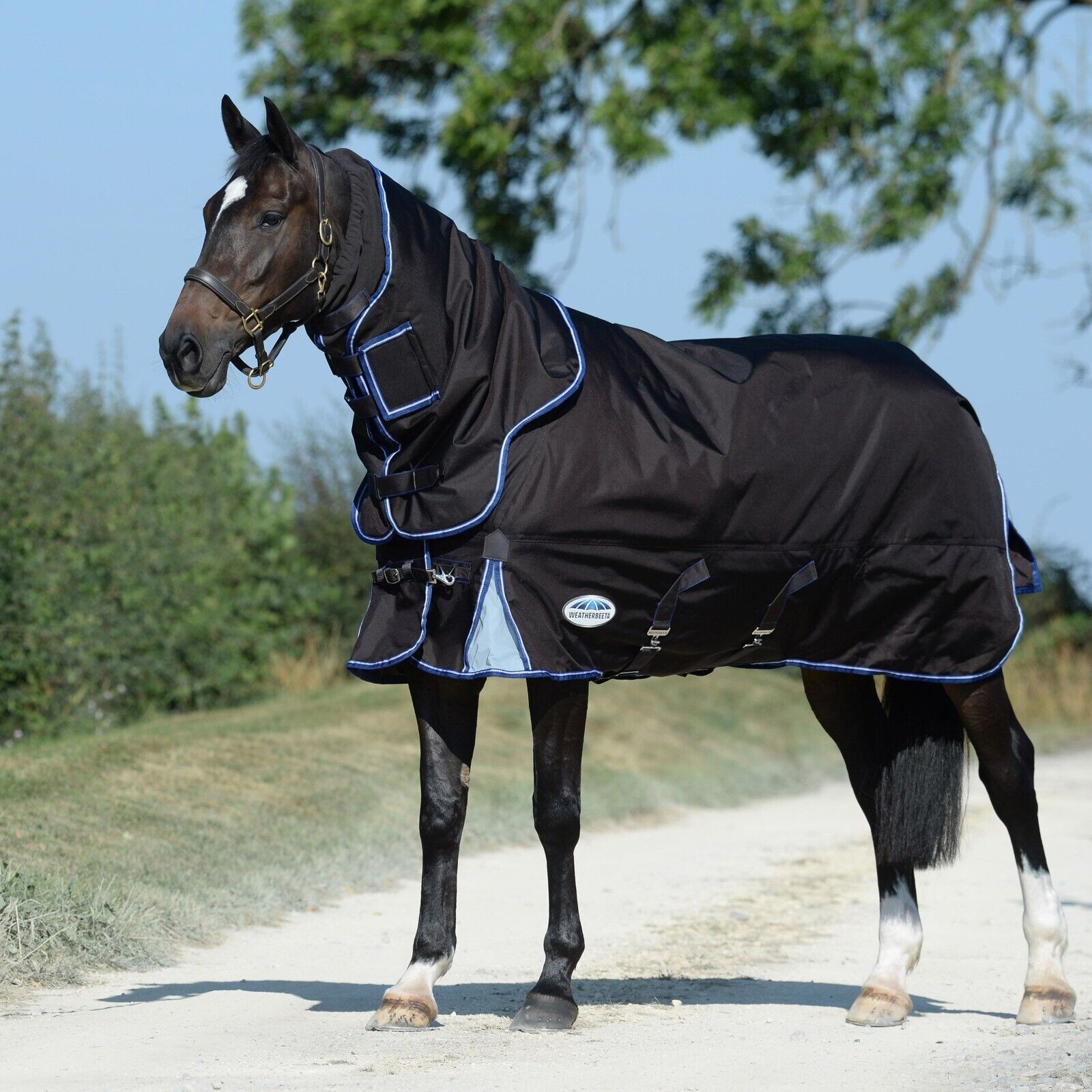Picture of WeatherBeeta ComFiTec Ultra Cozi II Turnout Rug, Detach-A-Neck, 1680 Den, 100g