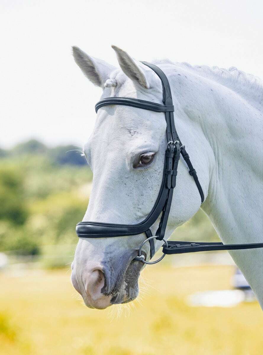Picture of Shires Velociti Rapida Ergonomic Curved Cavesson Bridle | 2 Colours | 4 Sizes