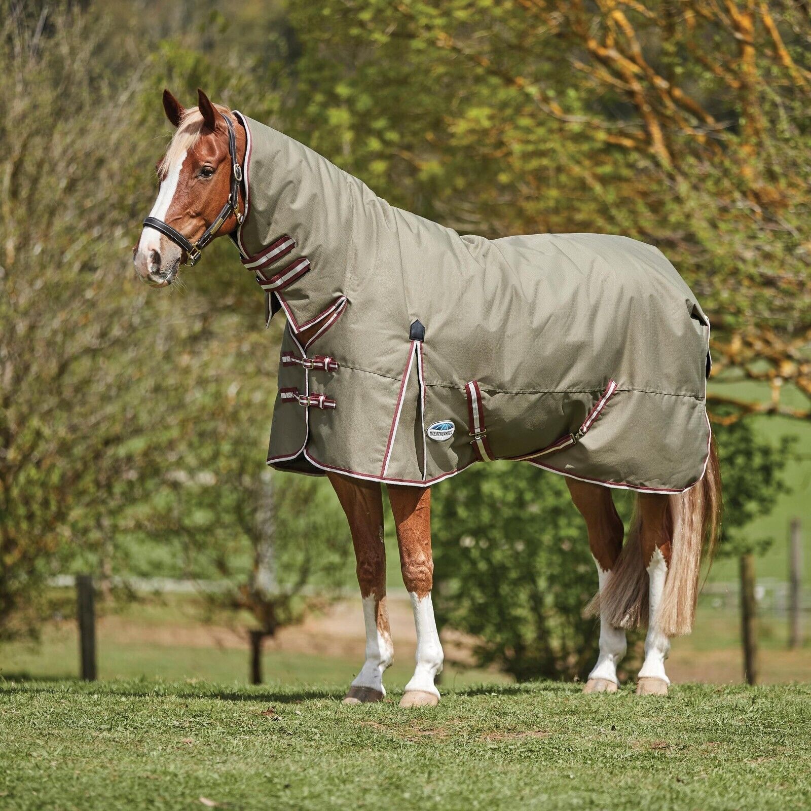 Weatherbeeta Comfitec Essential Turnout Rug 360g 1200D Heavy Fixed Nec ...