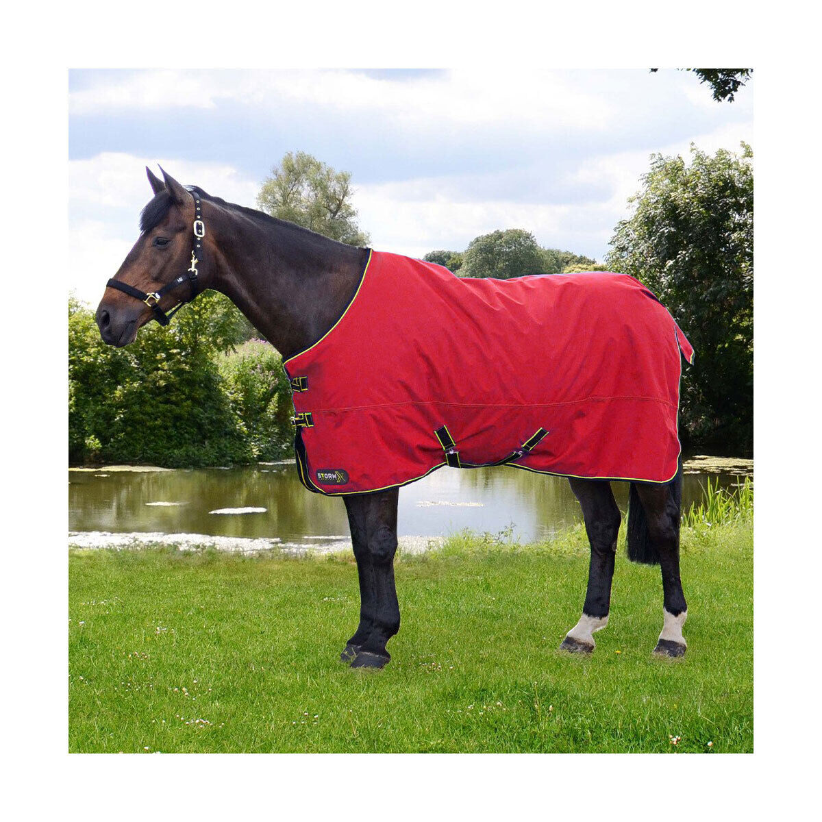 Picture of HY StormX Original 200g Horse Turnout Rug | Mediumweight | Std Neck | Outdoor