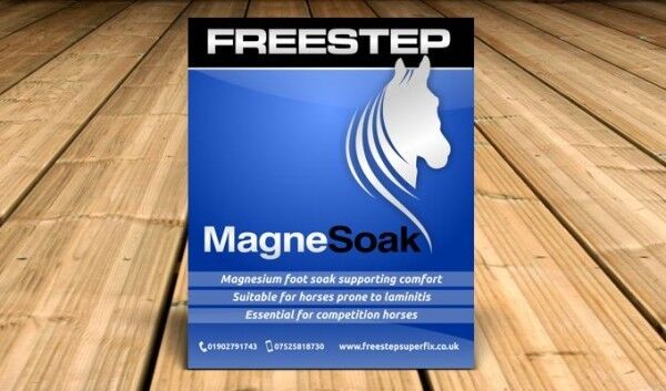 Picture of Freestep Magnesoak 250g, horse foot soak treatment