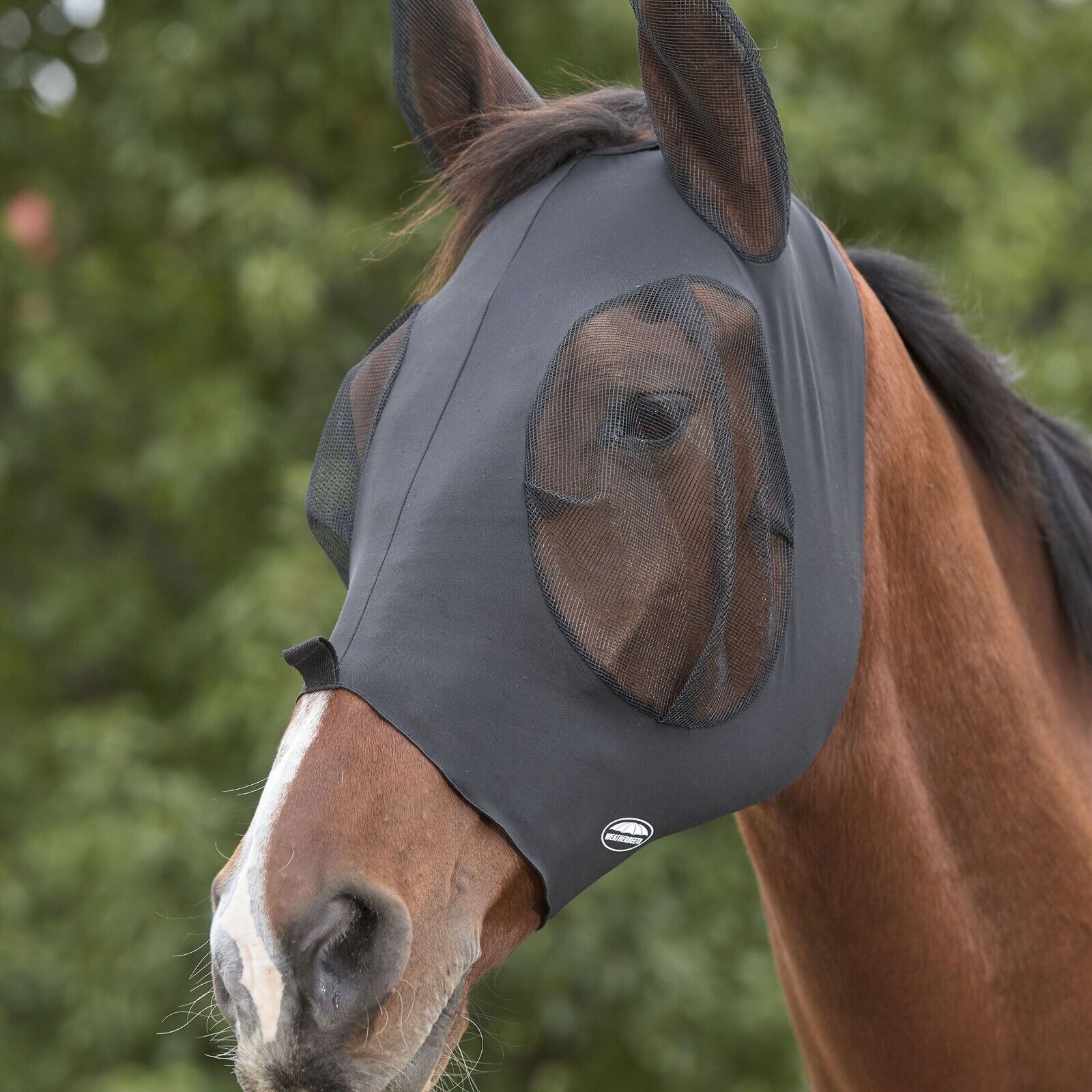 Picture of WeatherBeeta Deluxe Stretch Bug Eye Saver Fly Mask, with Ears, UV, 10 Colours