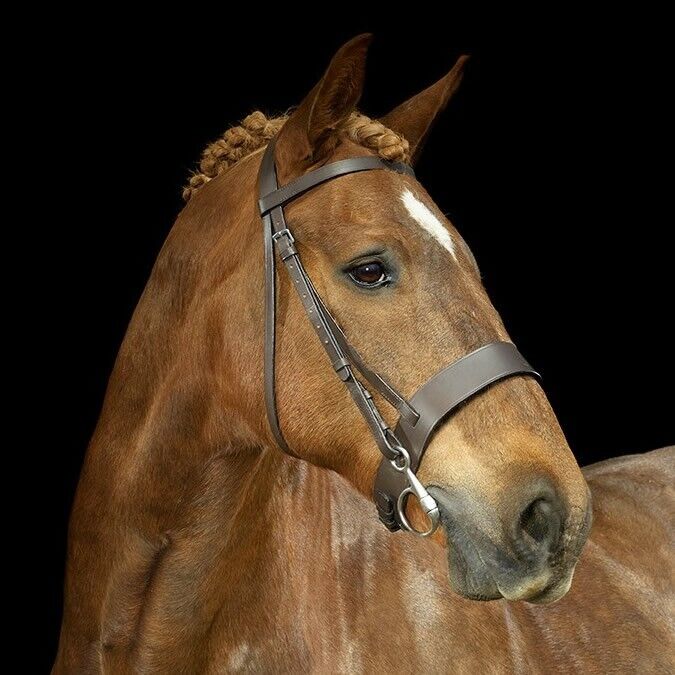 Picture of Gallop Leather Hunter Bridle & Reins, Sizes Pony-X.Full,   Black,  Brown