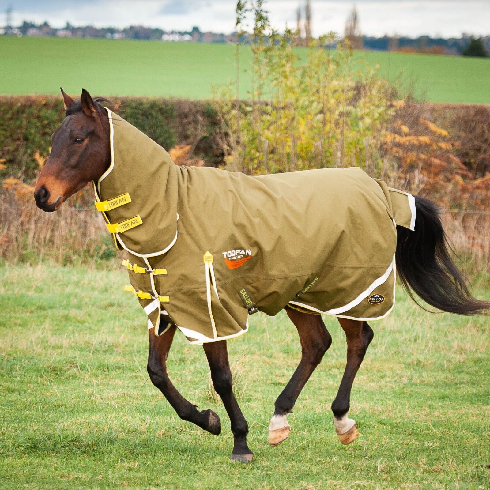 Picture of Gallop Toofan 200G 2100denier Mediumweight Horse Turnout Rug Full Neck Combo