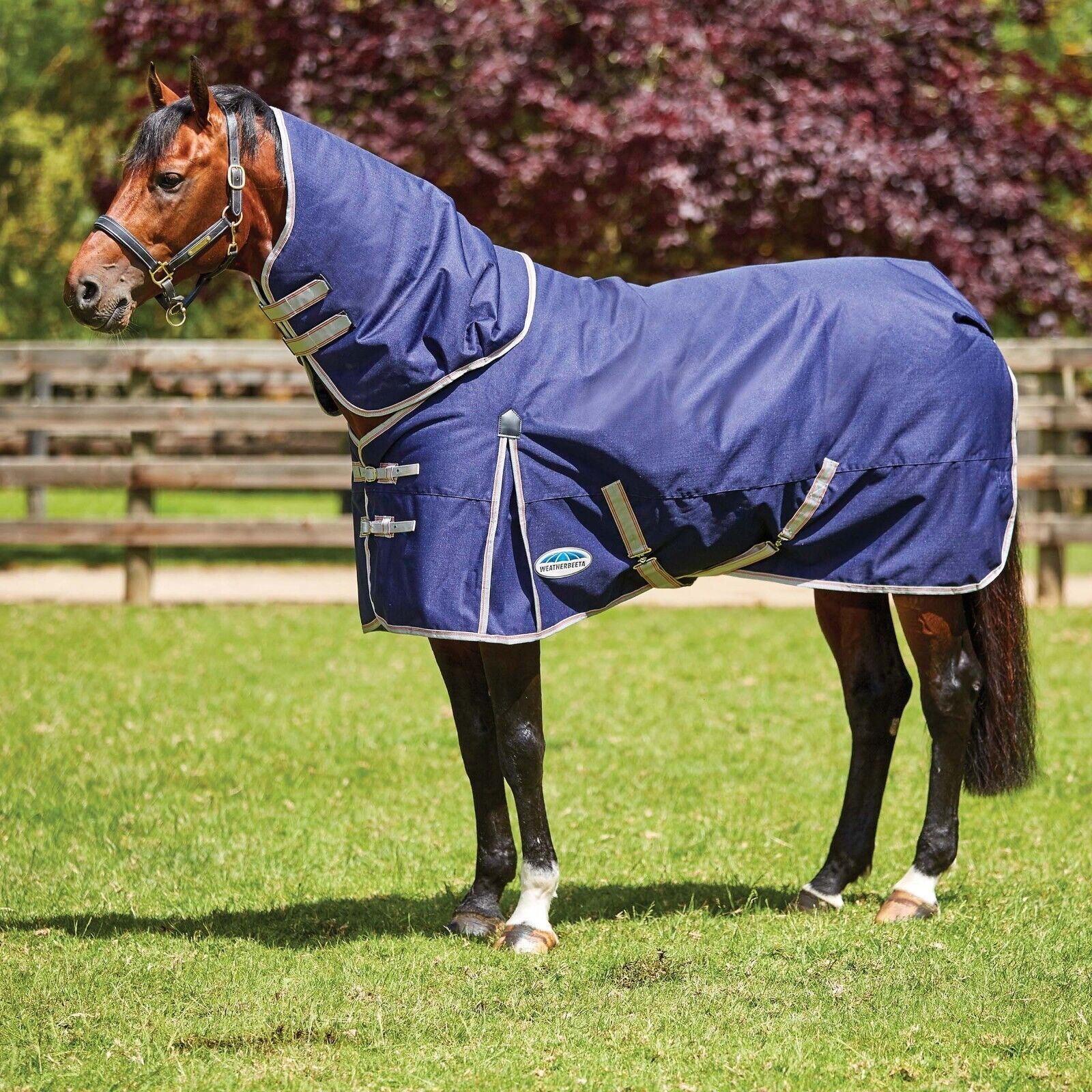 Picture of Weatherbeeta Comfitec Essential Turnout Rug 220g 1200D, Detach-A-Neck, Medium,