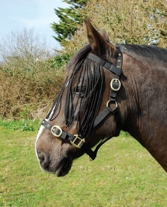 Picture of Rhinegold Fly Fringe | 6 Colours | 3 Sizes