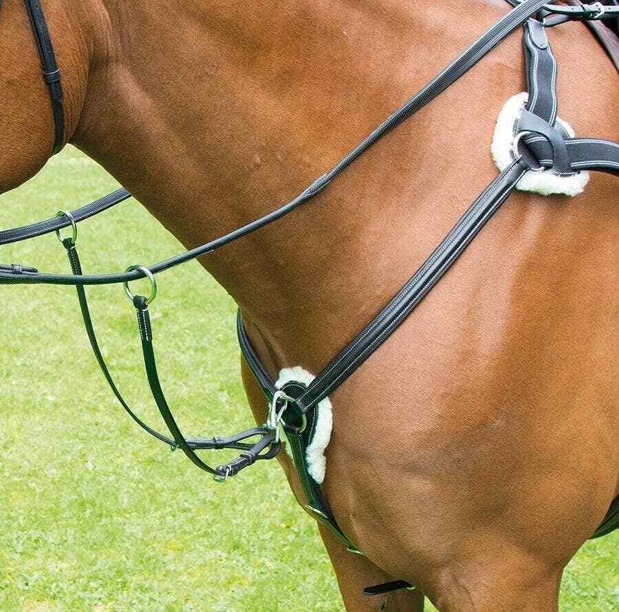 Picture of Shires Avignon Leather 5 Point Breastplate | 3 Colours