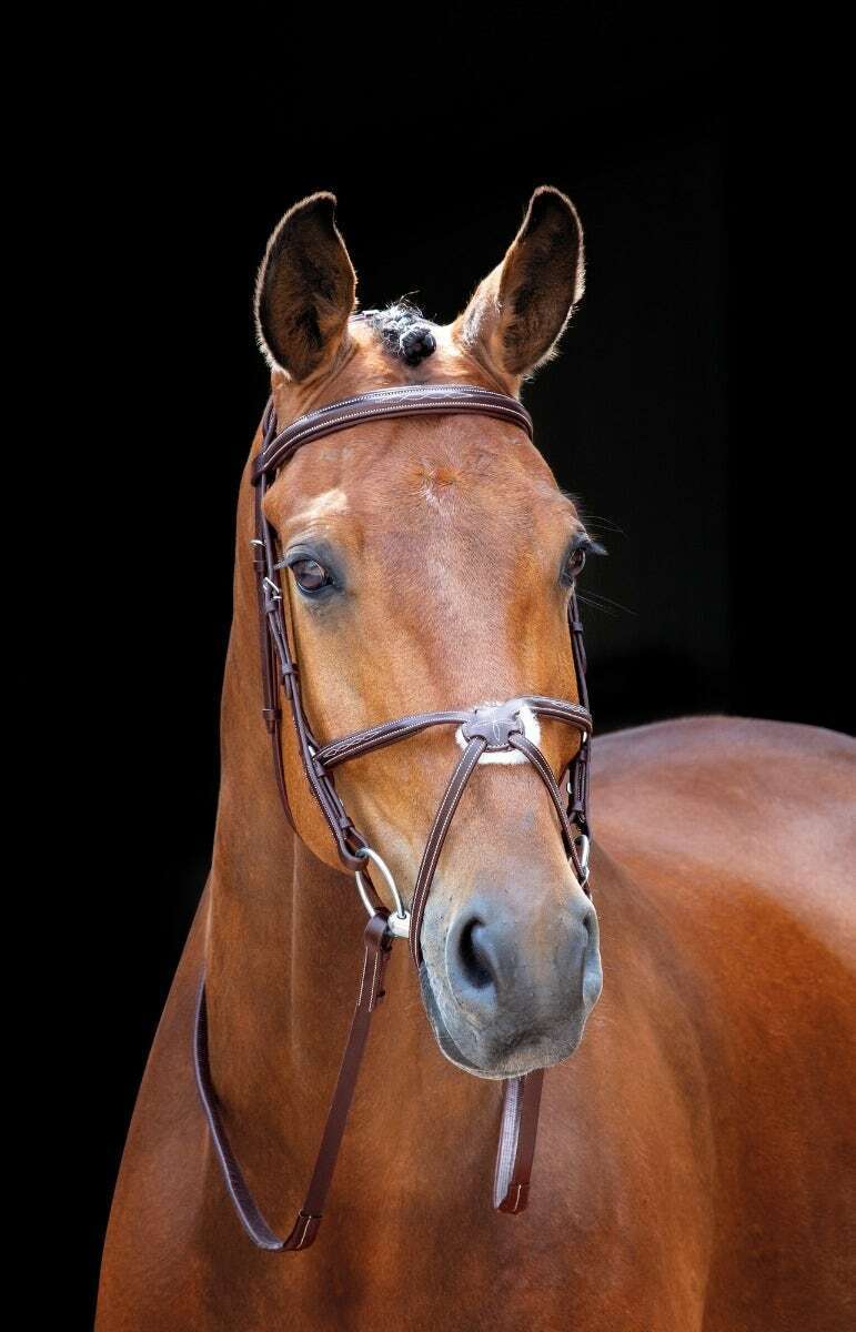 Picture of Shires Salisbury Brackley Horse / Pony Snaffle Bridle |  Black or Aus Nut