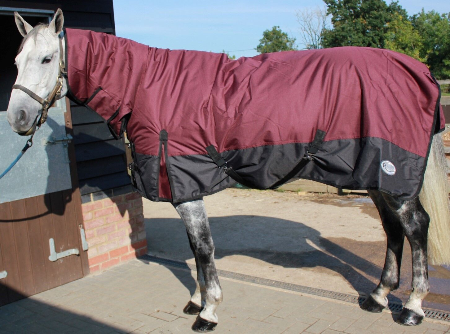 Picture of Heavyweight Horse Turnout Rug, 350g  Rhinegold Aspen  Combo, Full Neck,  Winter