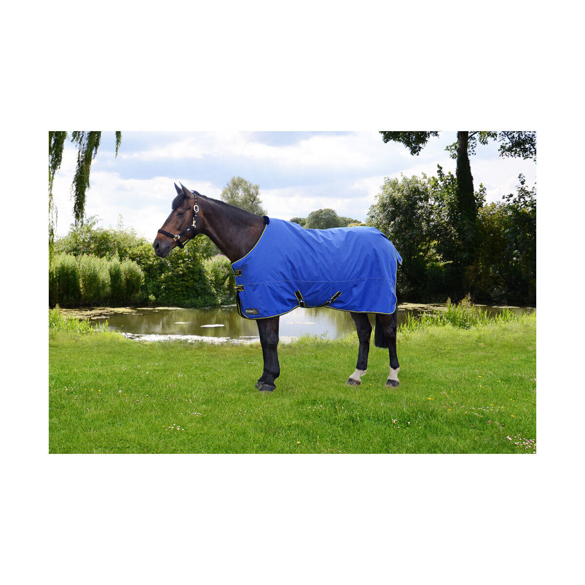 Picture of HY StormX Original 100g Horse Turnout Rug | Lightweight | Std Neck | Outdoor