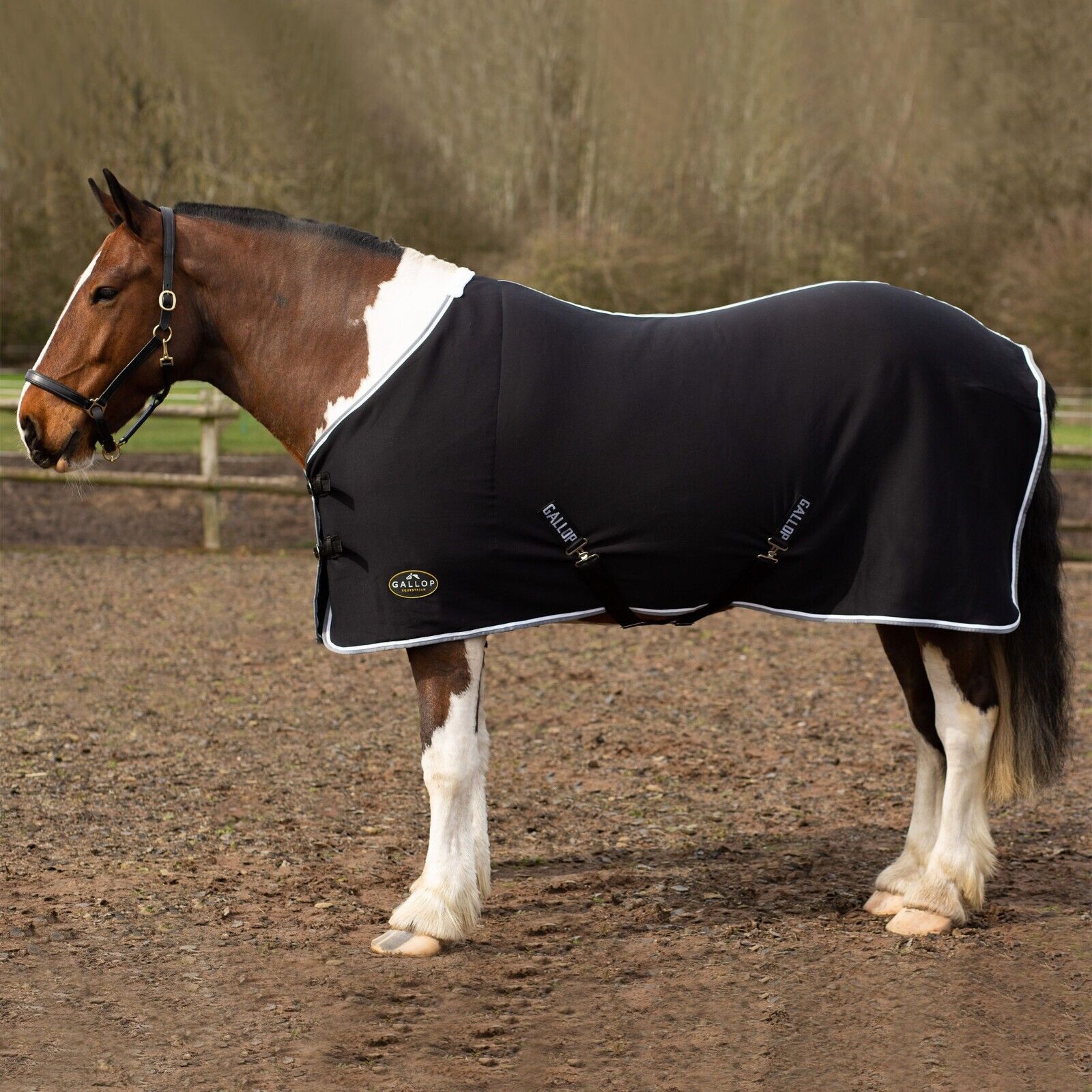 Picture of GALLOP Jersey Cooler / Travel Horse Rug | Lightweight | 4'9" - 7'0", 4 Colours