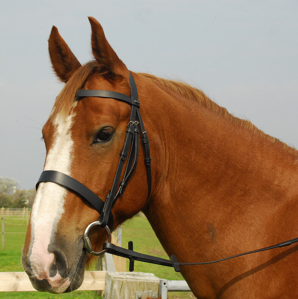 Picture of Heritage English Quality Leather Plain Hunter Snaffle Horse Bridle Flat Noseband