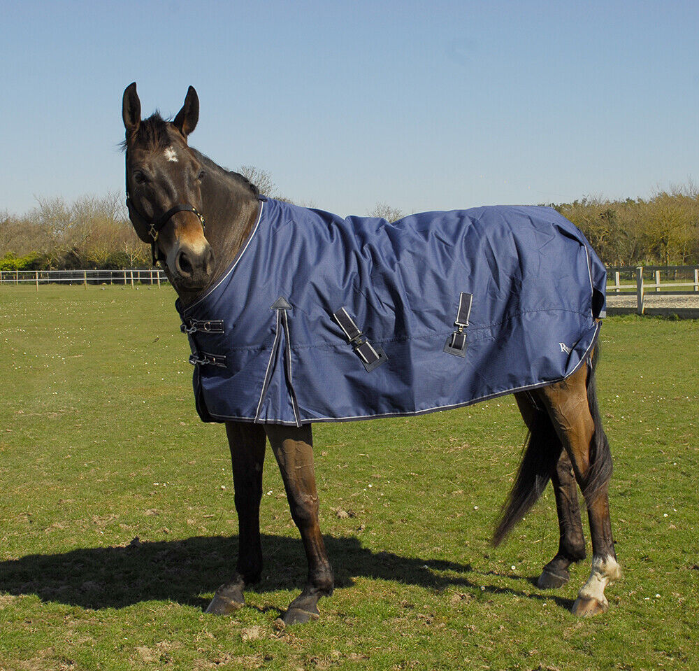 Picture of Rhinegold Arizona LIghtweight 100g Horse Turnout Rug 600d Standard Neck in Navy