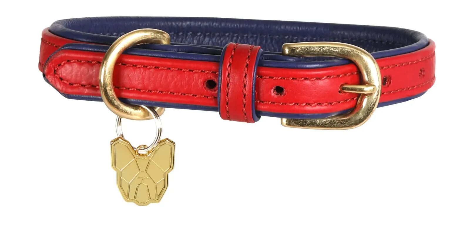 Picture of Shires Digby & Fox Padded Leather Dog Collar | 8 Sizes | 7 Colours