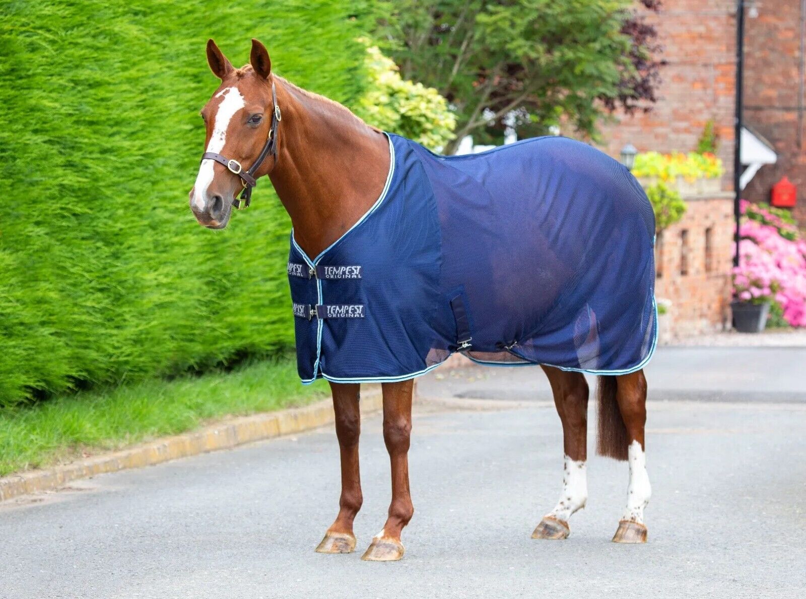 Picture of Shires Tempest Original Mesh Cooler / Travel Rug, 5'0" - 7'0"
