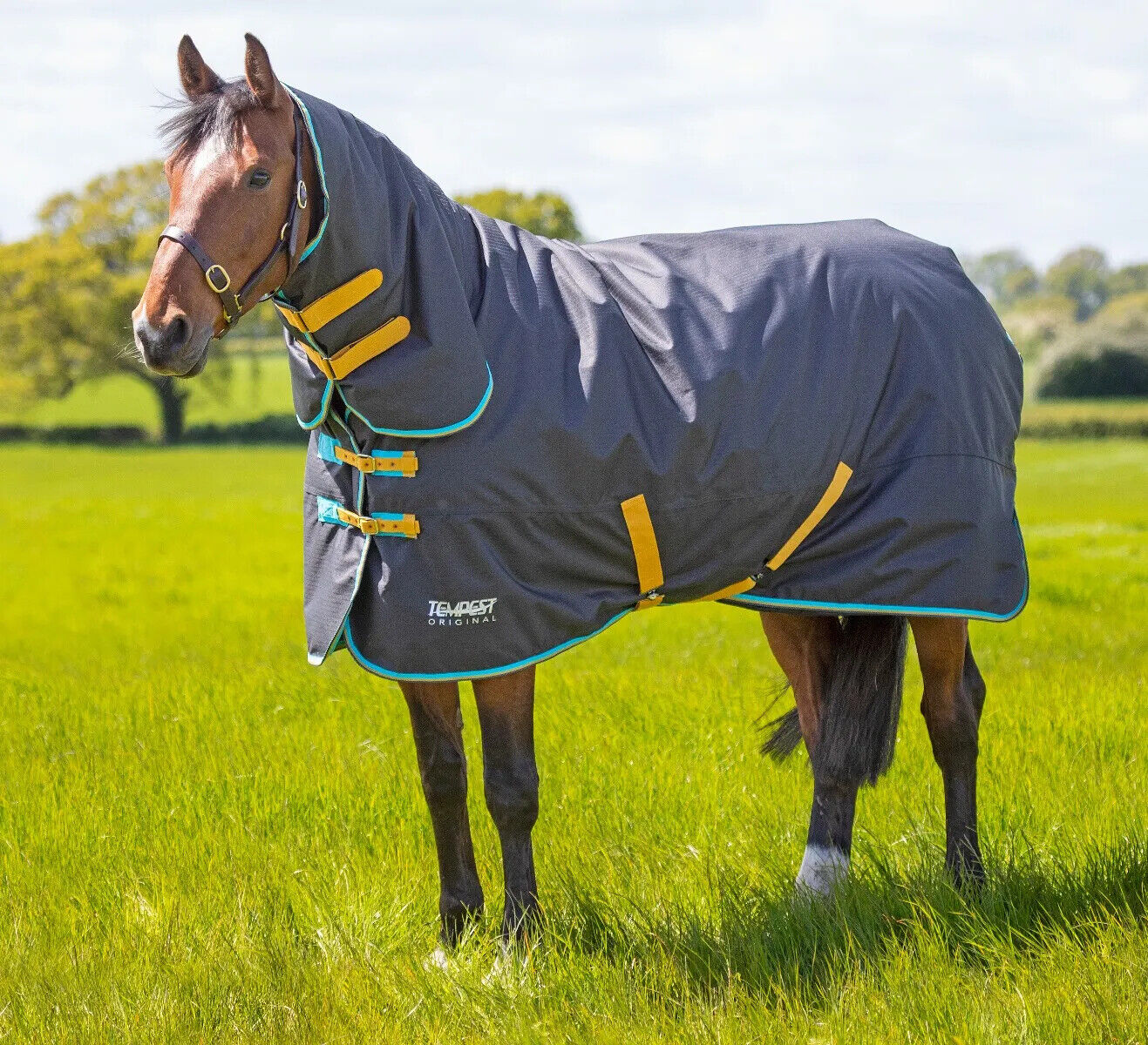 Picture of Shires Tempest Original 300g Horse Turnout Rug Combo Full Neck | Black|4'0"-7'3"