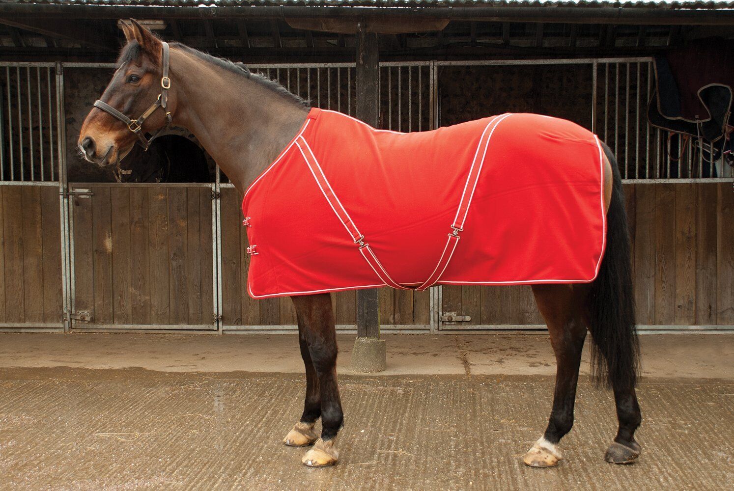 Picture of Rhinegold Comfey Fleece Horse Rug | Red or Navy | Std Neck | 4'6"-7'0"