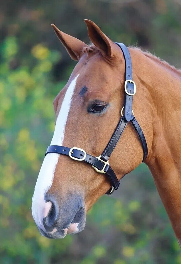 Picture of Shires Velociti Gara Fully Adjustable Leather Headcollar | Black,Havana| 7 Sizes