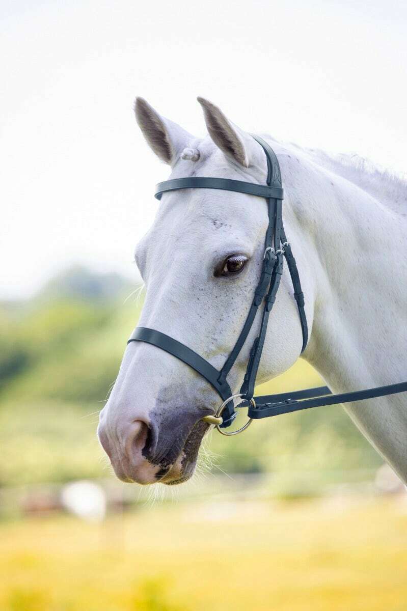 Picture of Shires Velociti Rapida Hunter Cavesson Bridle | 2 Colours | 4 Sizes