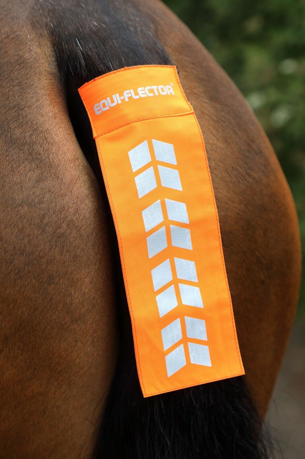 Picture of Shires Equi-Flector Reflective Tail Strap | Pink, Yellow, Orange