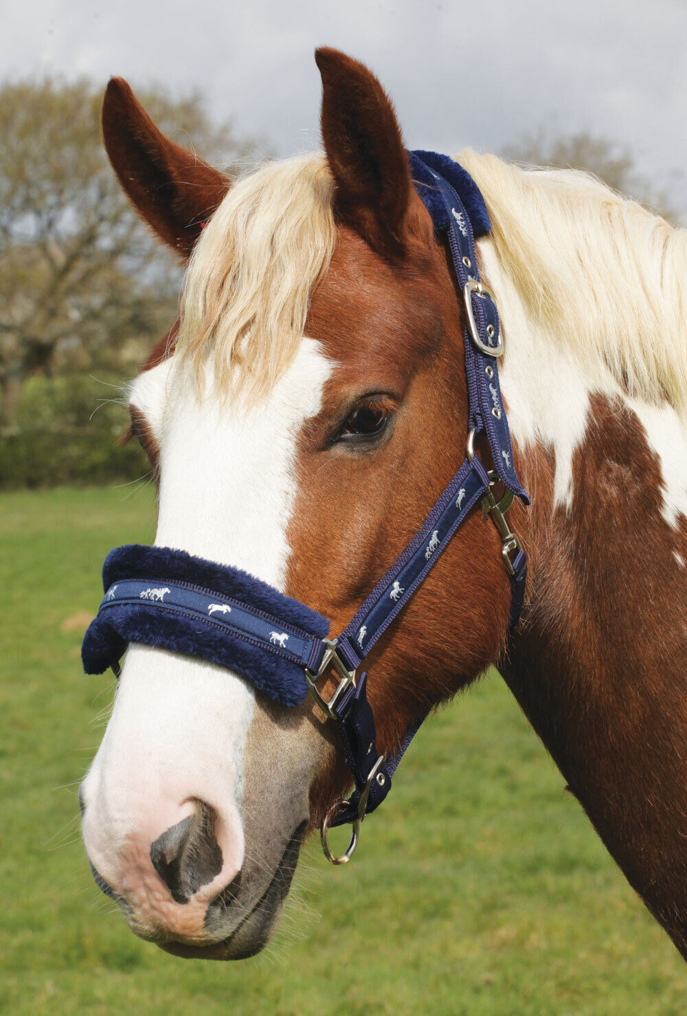 Picture of Rhinegold Logo Headcollar Fleece Trim | 3 Colours | 4 Sizes | Adjustable