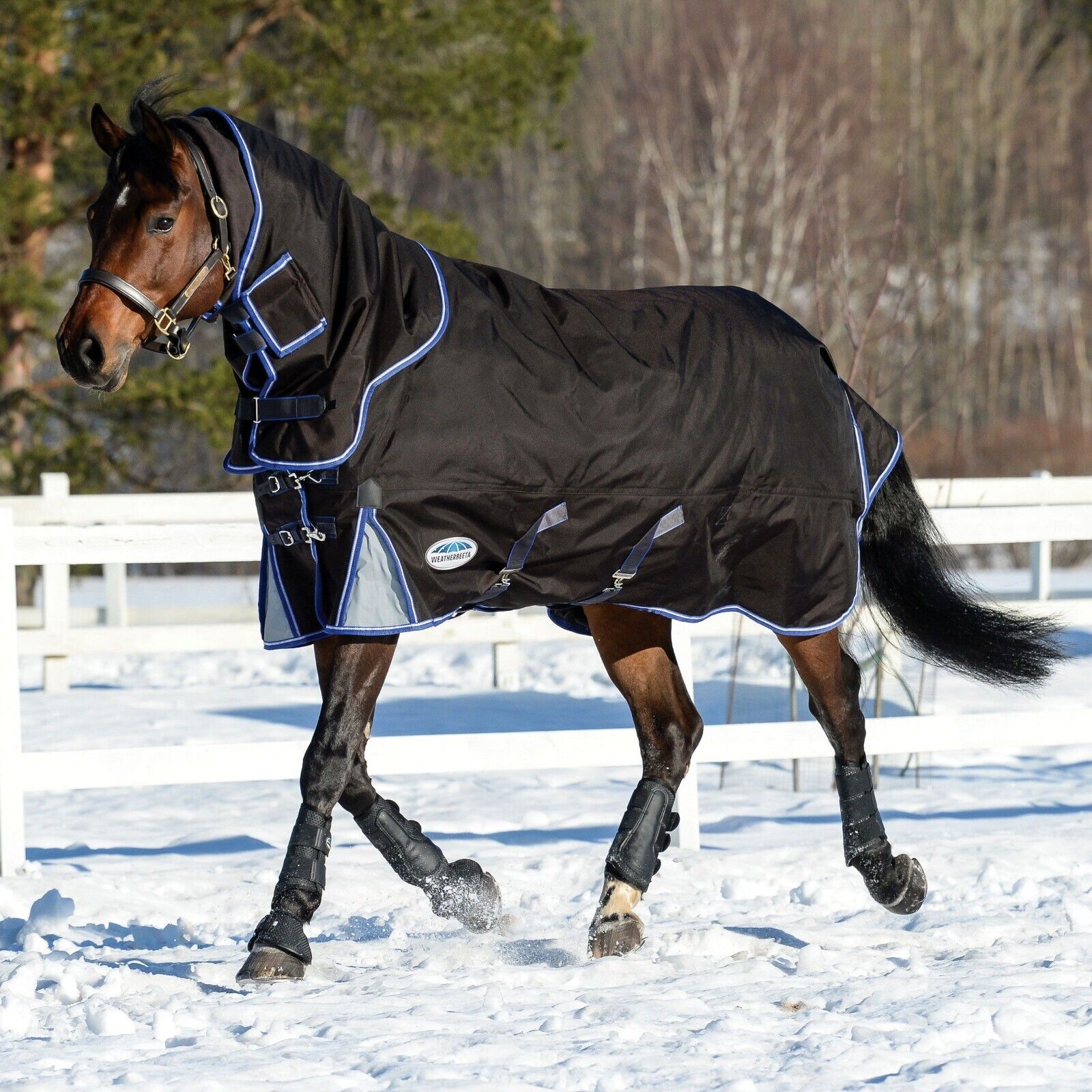 Picture of WeatherBeeta Comfitec Ultra Cozi II Turnout Rug, Detach-A-Neck, 220g , 1680Den,