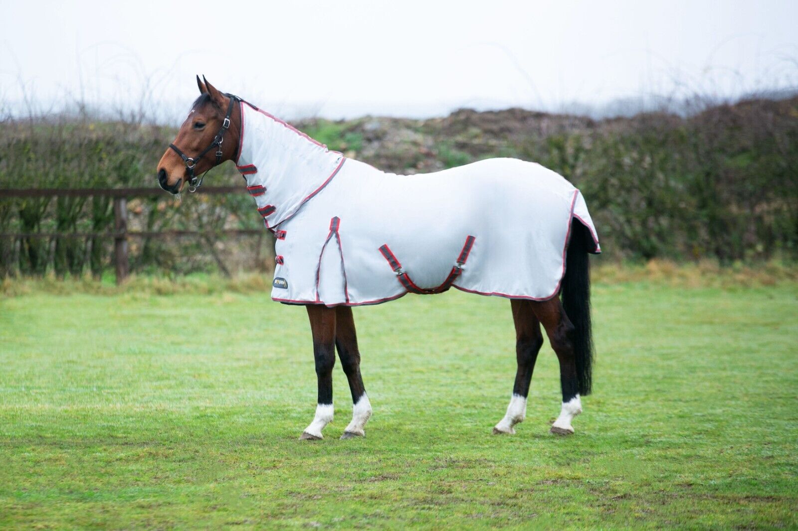 Picture of HY StormX Fly Rug Original Protect Full Neck Fly Horse/Pony Rug | 4'6" - 7'0"