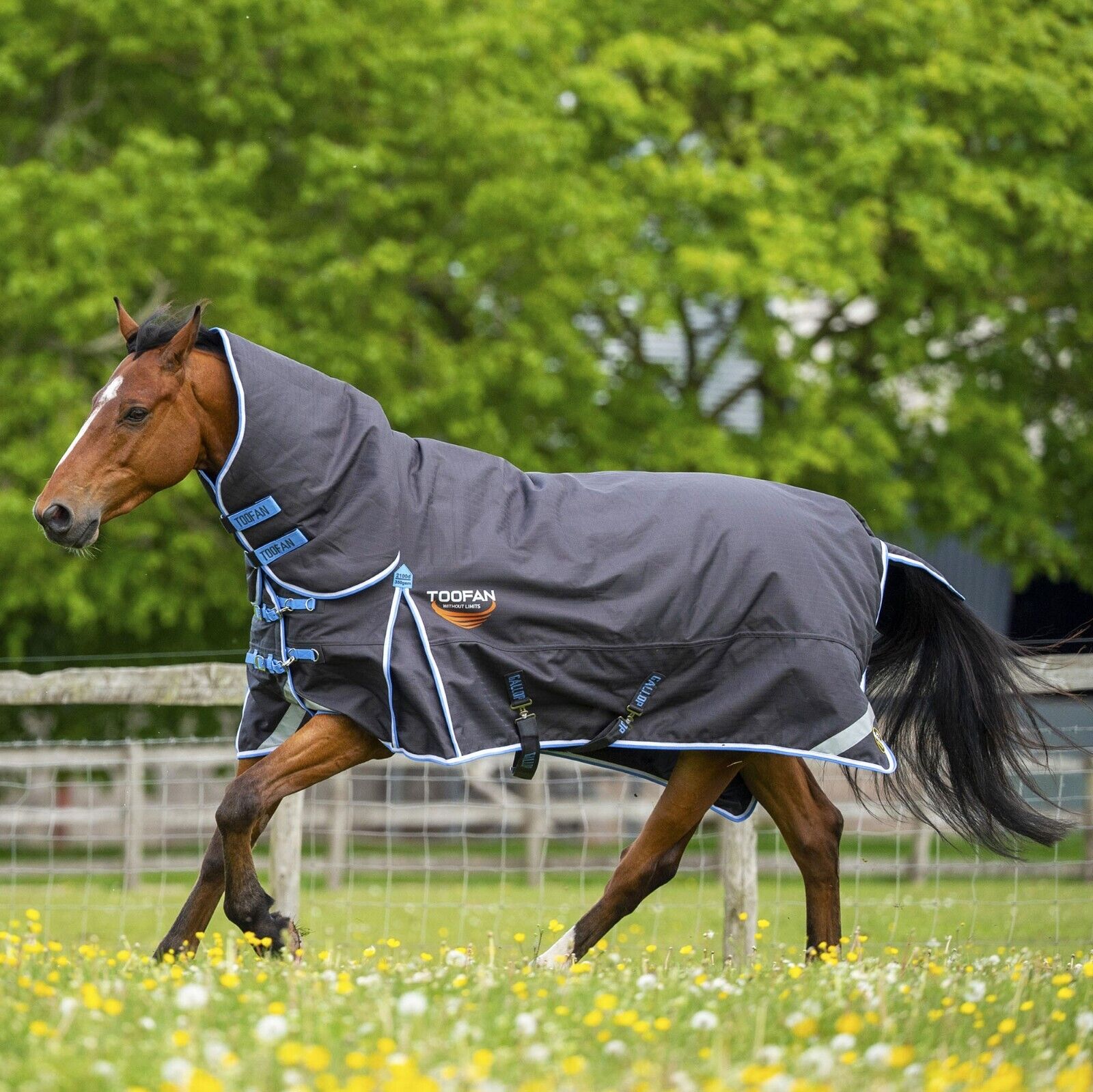 Picture of Gallop Toofan 350g 2100 denier Heavyweight Horse Turnout Rug Combo Full Neck
