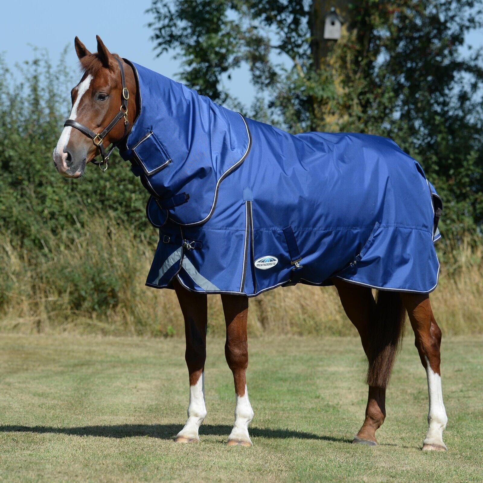 Picture of Weatherbeeta Comfitec Ultra Tough II Turnout Rug, 100g, 1680 Den, Detach-A-Neck