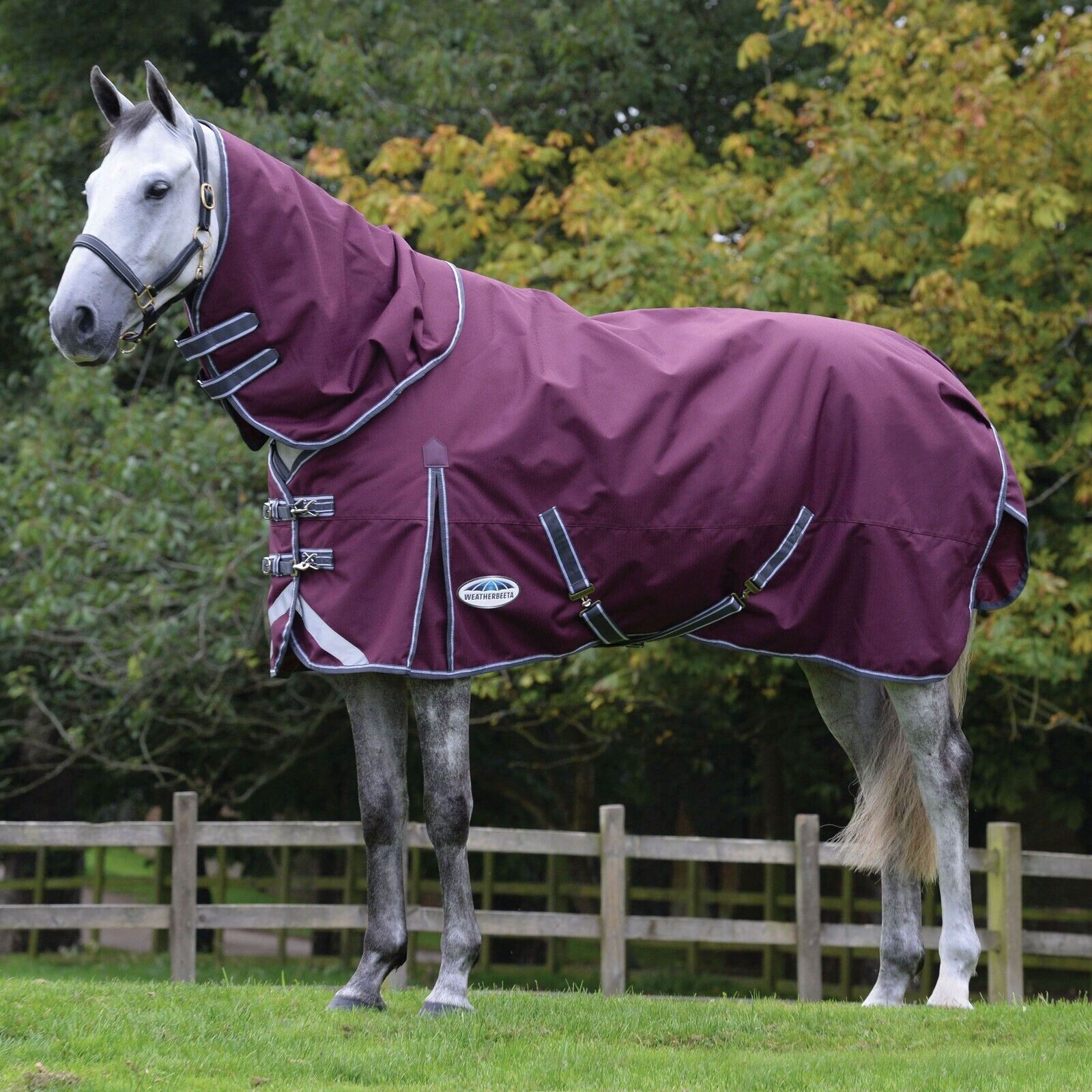 Picture of Weatherbeeta Comfitec Plus Dynamic II Turnout Rug 100g 1200D Detach-a-Neck