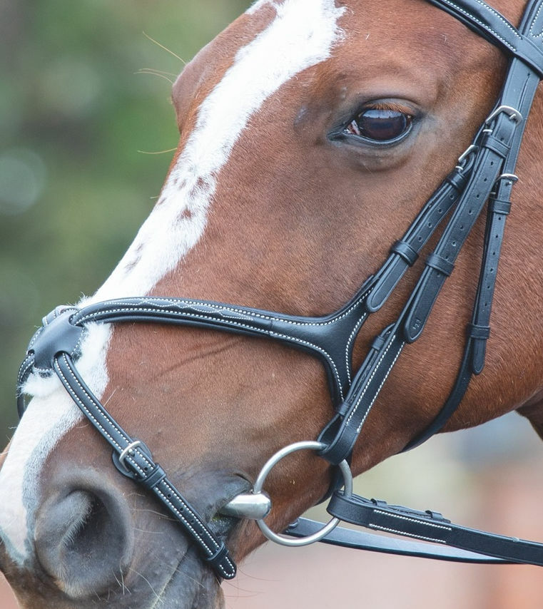 Picture of Shires Avignon Grackle Leather Noseband |  3 Colours