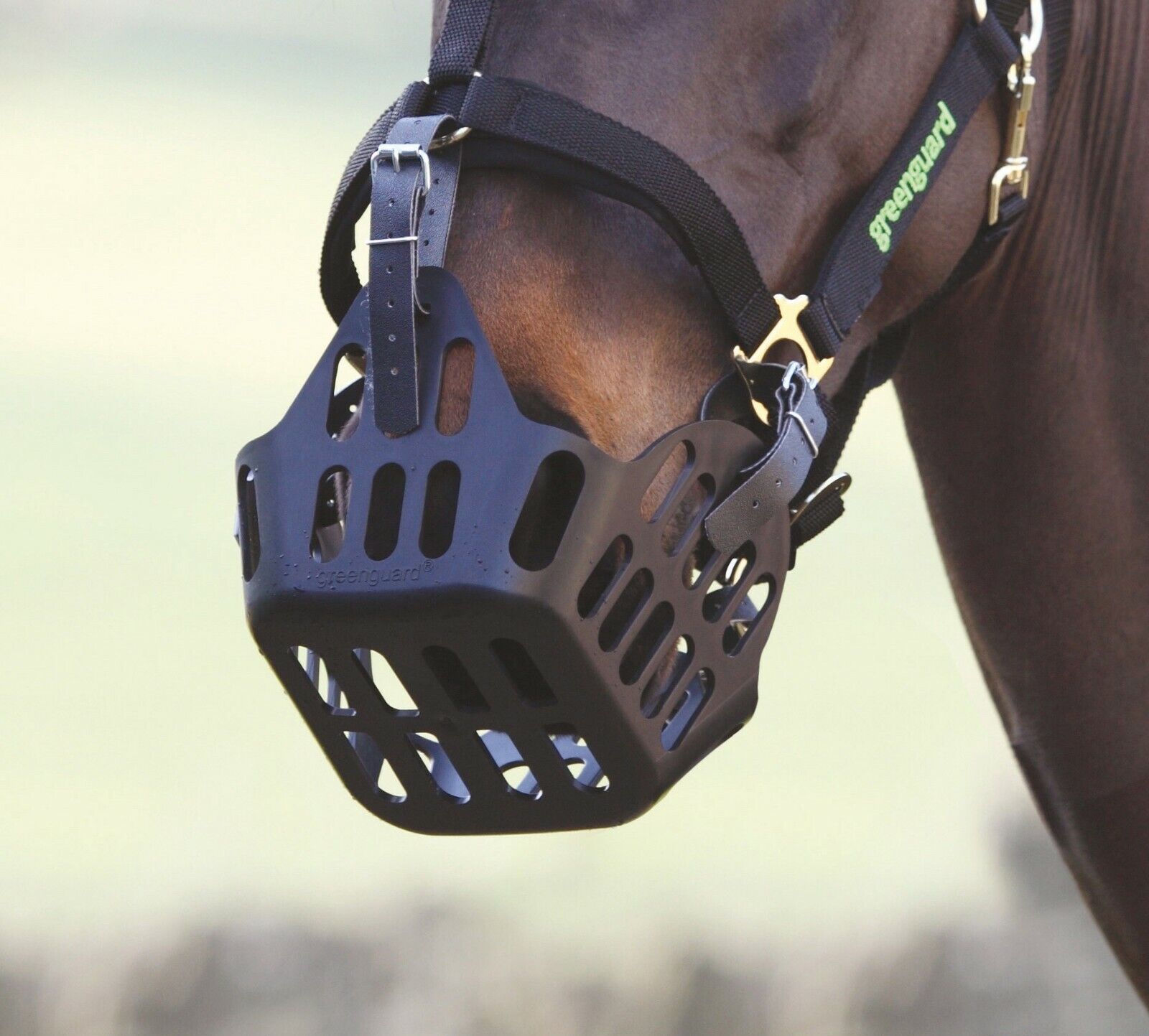 Picture of Greenguard Horse Grass Muzzle in Black, 3 Sizes