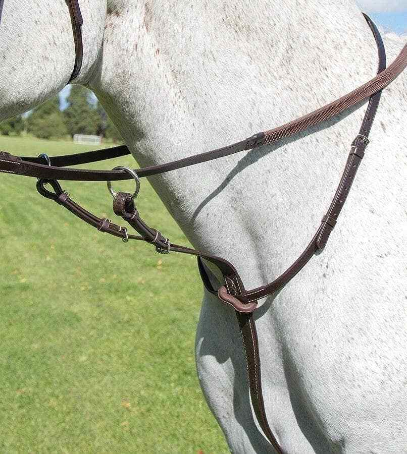 Picture of Shires Avignon Leather Running Martingale | 3 Colours