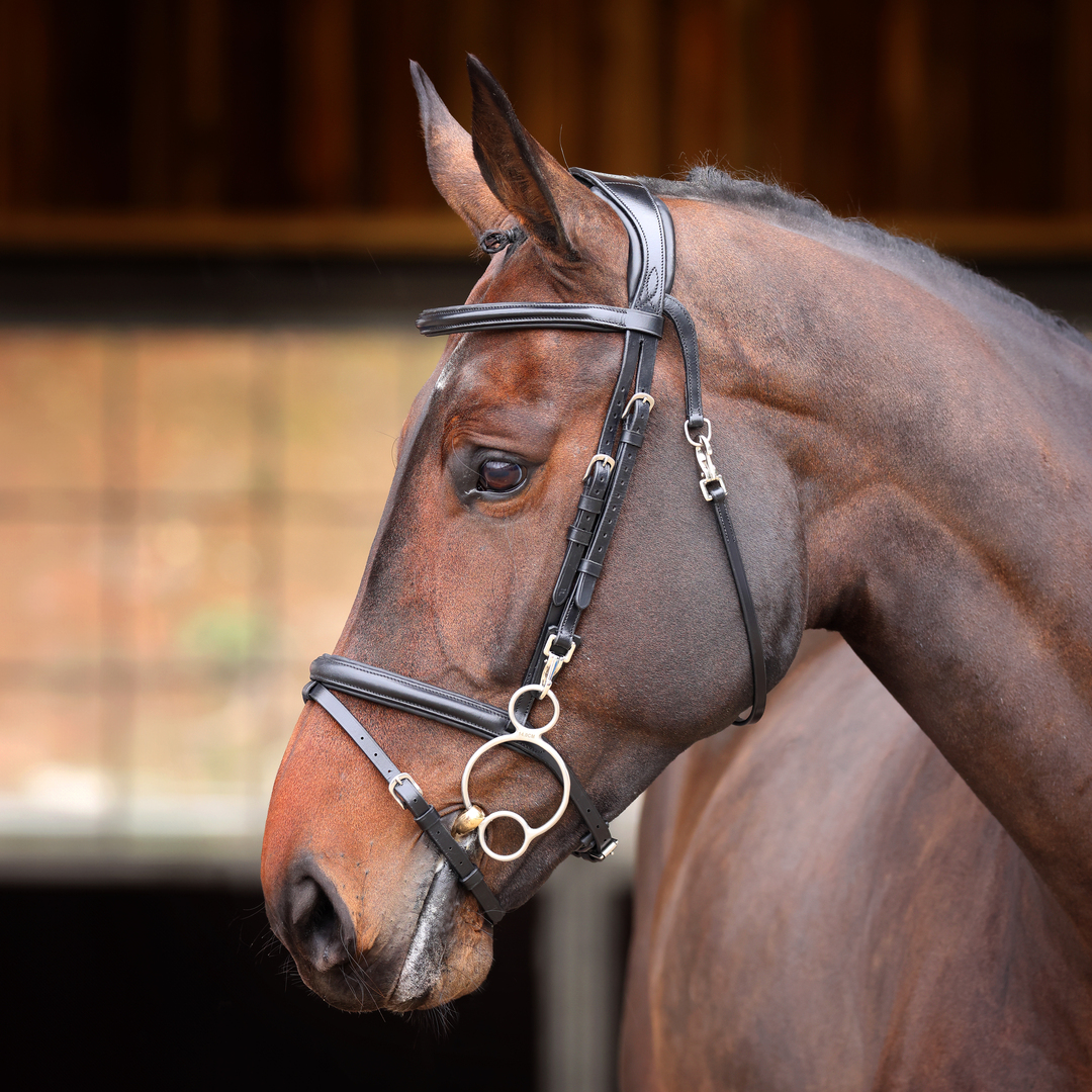 Picture of Shires Velociti Rapida Training Bridle | 2 Colours | 4 Sizes