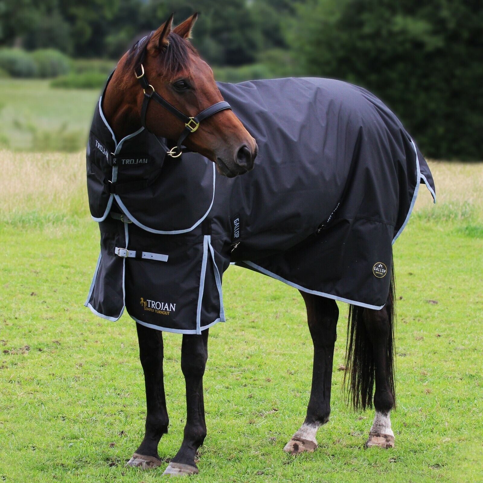 Picture of Gallop Trojan 300g Heavyweight Horse Turnout Rug and Detachable Neck Set Winter