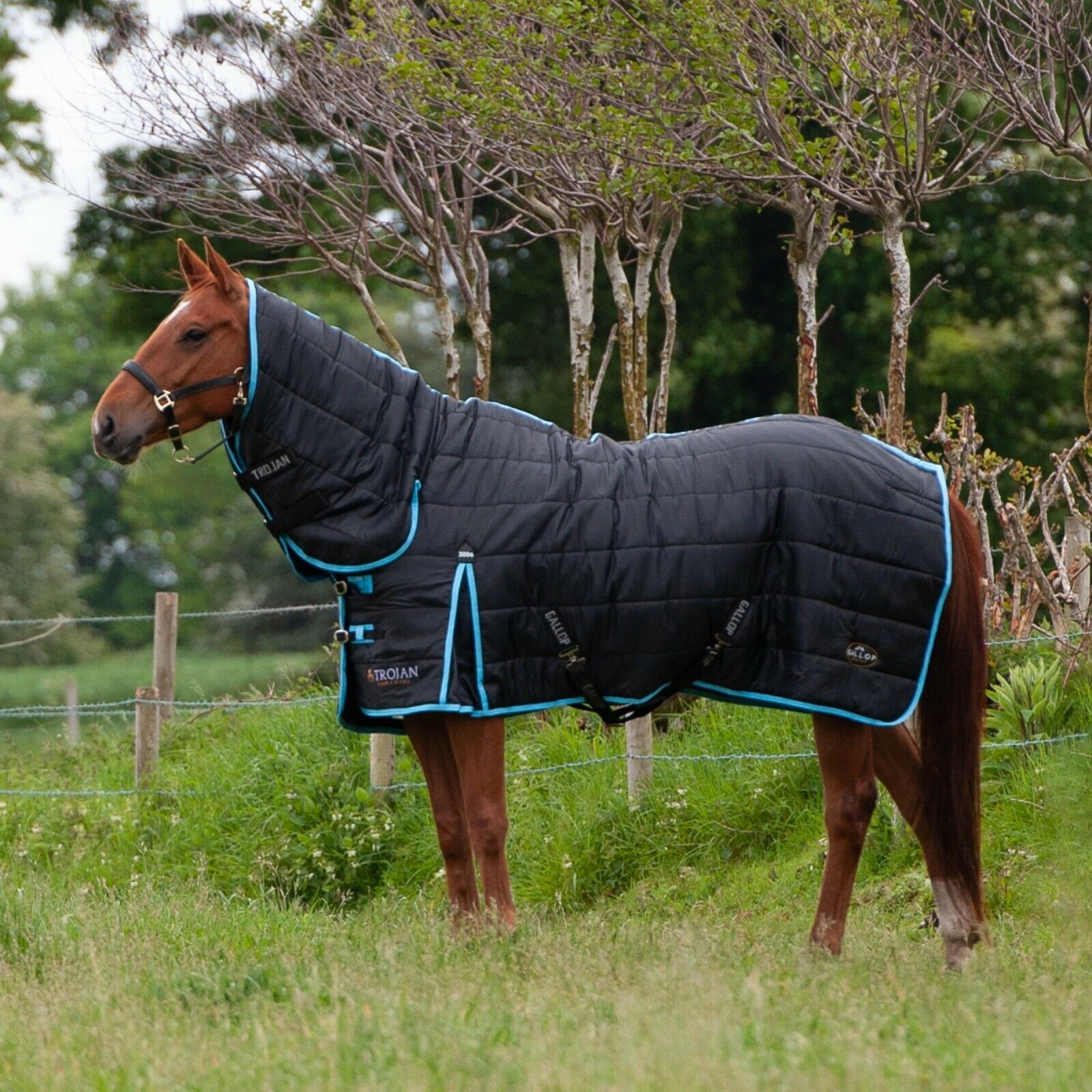 Picture of Gallop Trojan 300g Indoor Horse Stable Rug Full Neck Combo  Black/Sky