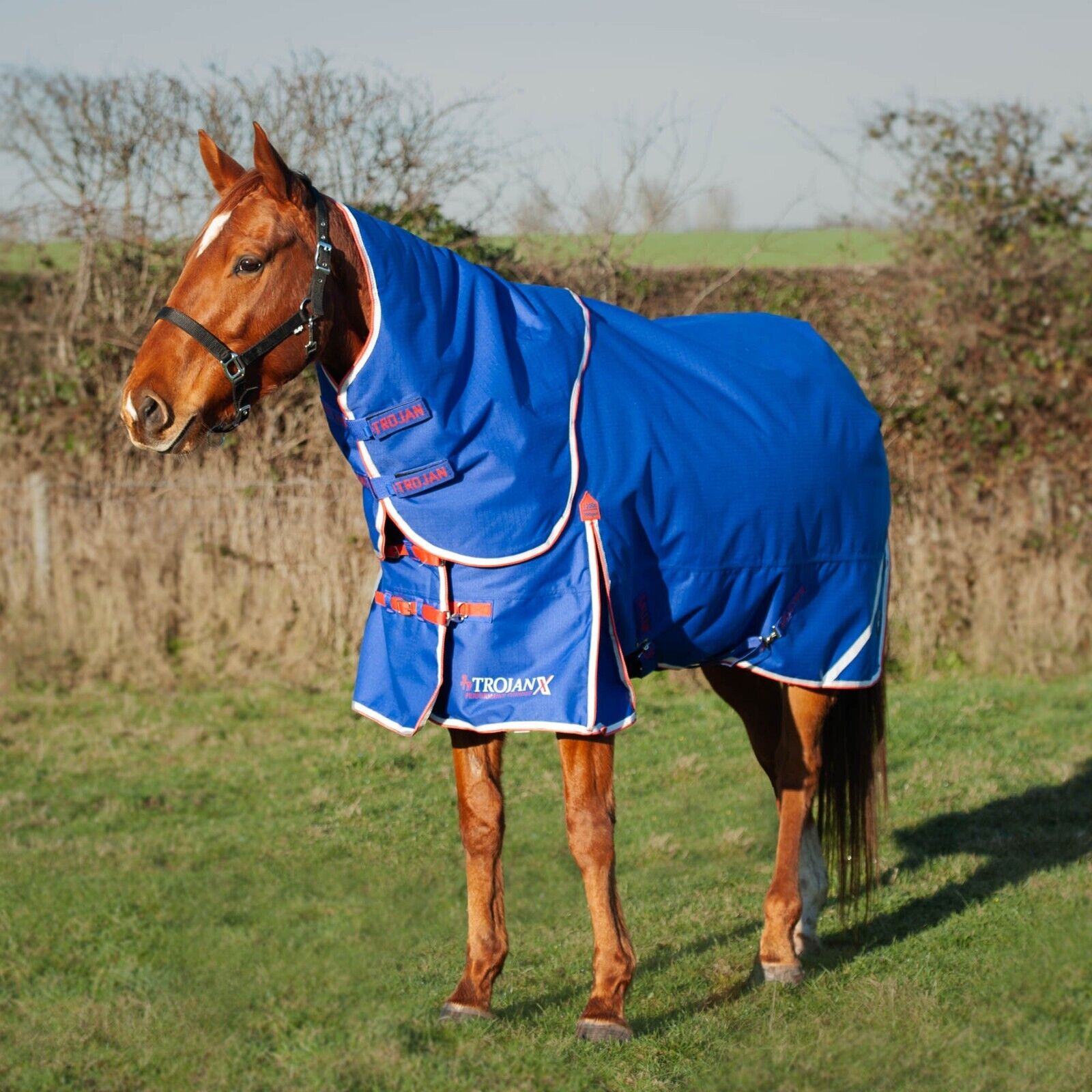 Picture of Turnout Rug GALLOP Trojan X 200g Dual Rug & Neck Set Mediumweight 1200Denier
