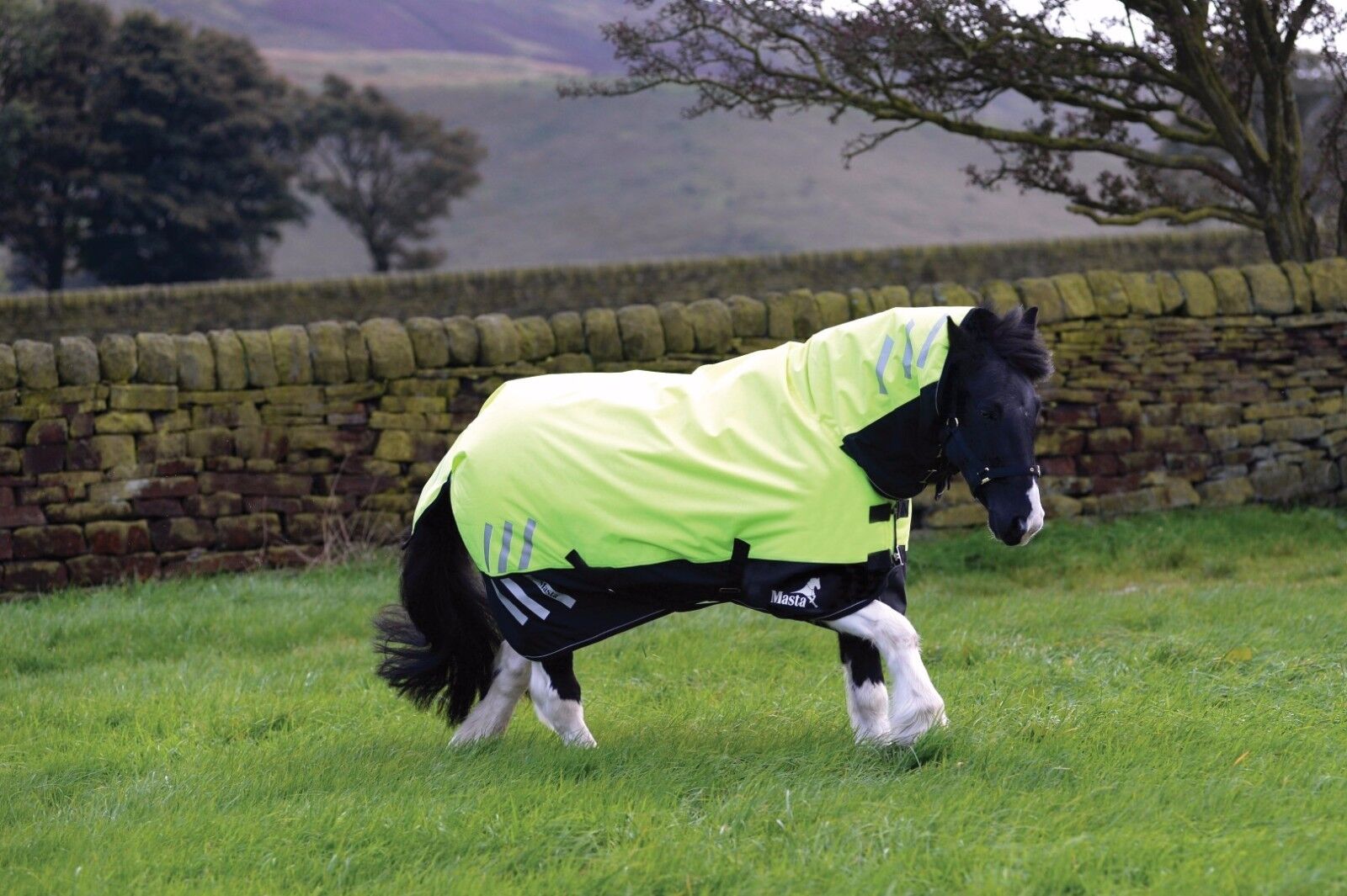 Picture of Masta Avante 200g fixed neck Hi-Viz mediumweight winter combo turnout rug