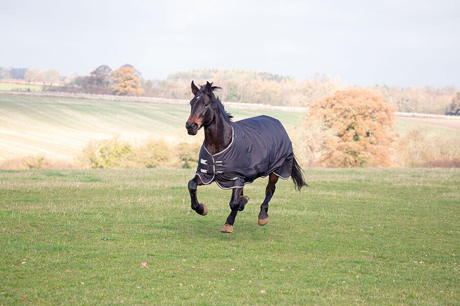 Picture of Shires Tempest Plus 300g Horse Turnout Rug Std Neck 1200d |  Black | 4'0" - 7'3"