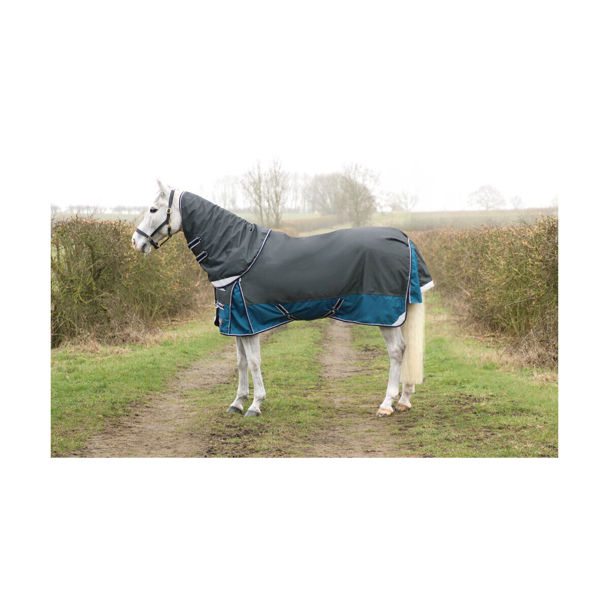 Picture of HY DefenceX System 50g Horse Turnout Rug and Detachable Neck Set  | Lightweight
