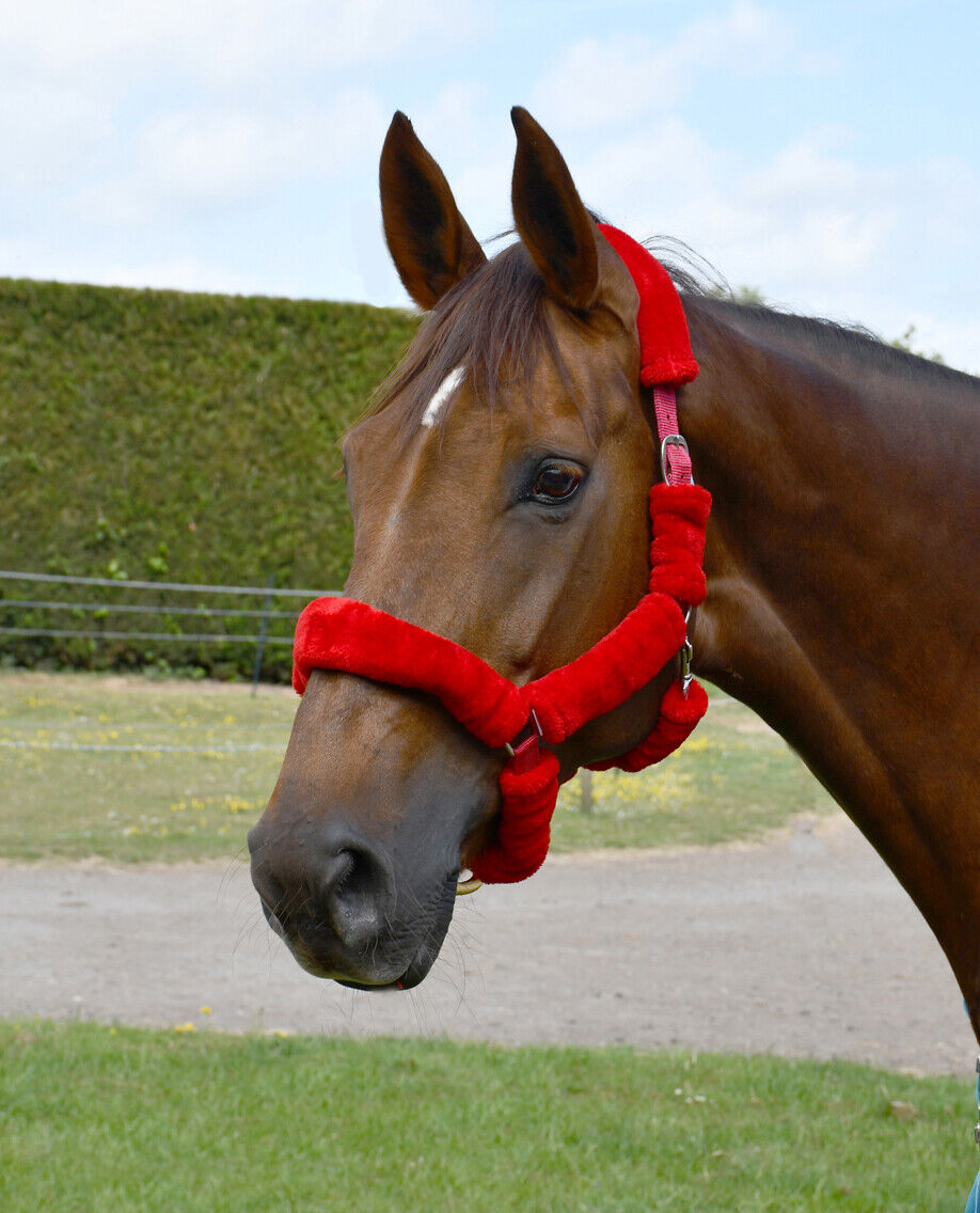 Picture of Rhinegold Fur Trim Horse/Pony Headcollar | 3 Colours | 4 Sizes