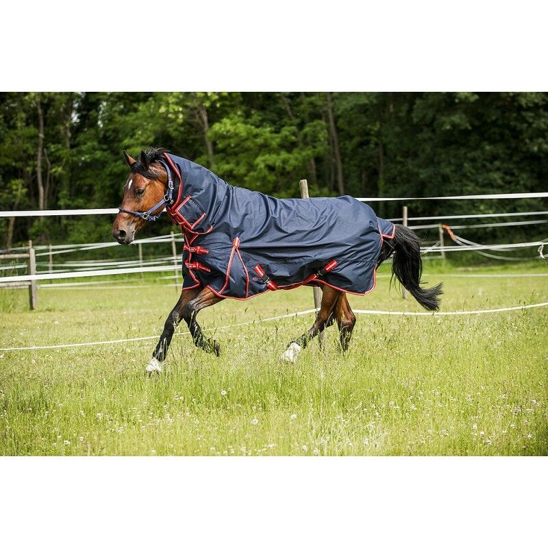 Picture of Ekkia Norton 200g 600 Denier, Fixed Neck Combo Horse turnout rug