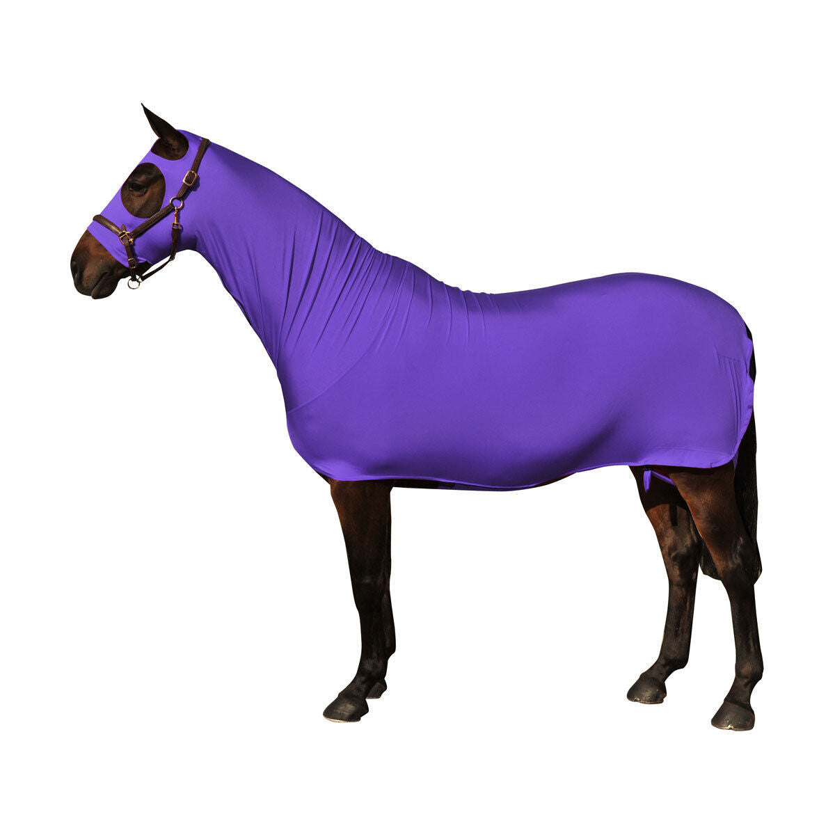 Picture of Supreme Products Body Wrap Lycra Body Suit | Show Prep Rug For Horses / Ponies