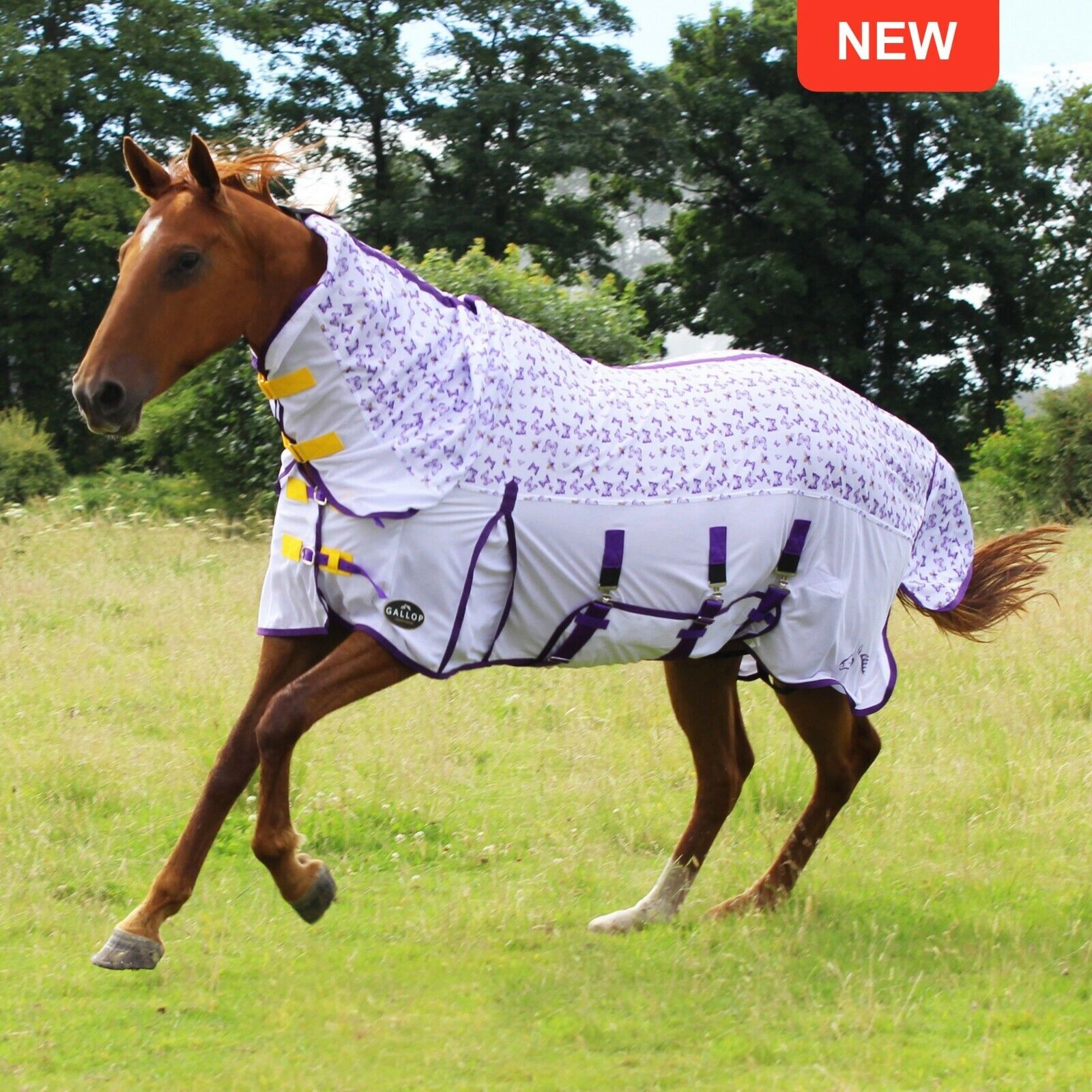 Picture of Gallop Bees & Butterflies UV Protection Fly Mesh Full Neck Combo Horse Rug