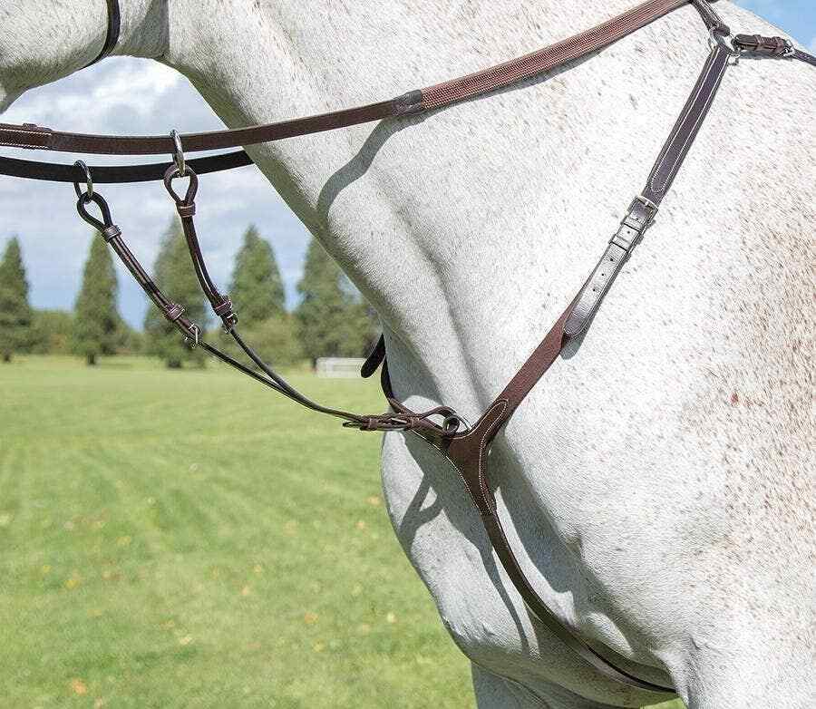 Picture of Shires Avignon Leather Breastplate | 3 Colours