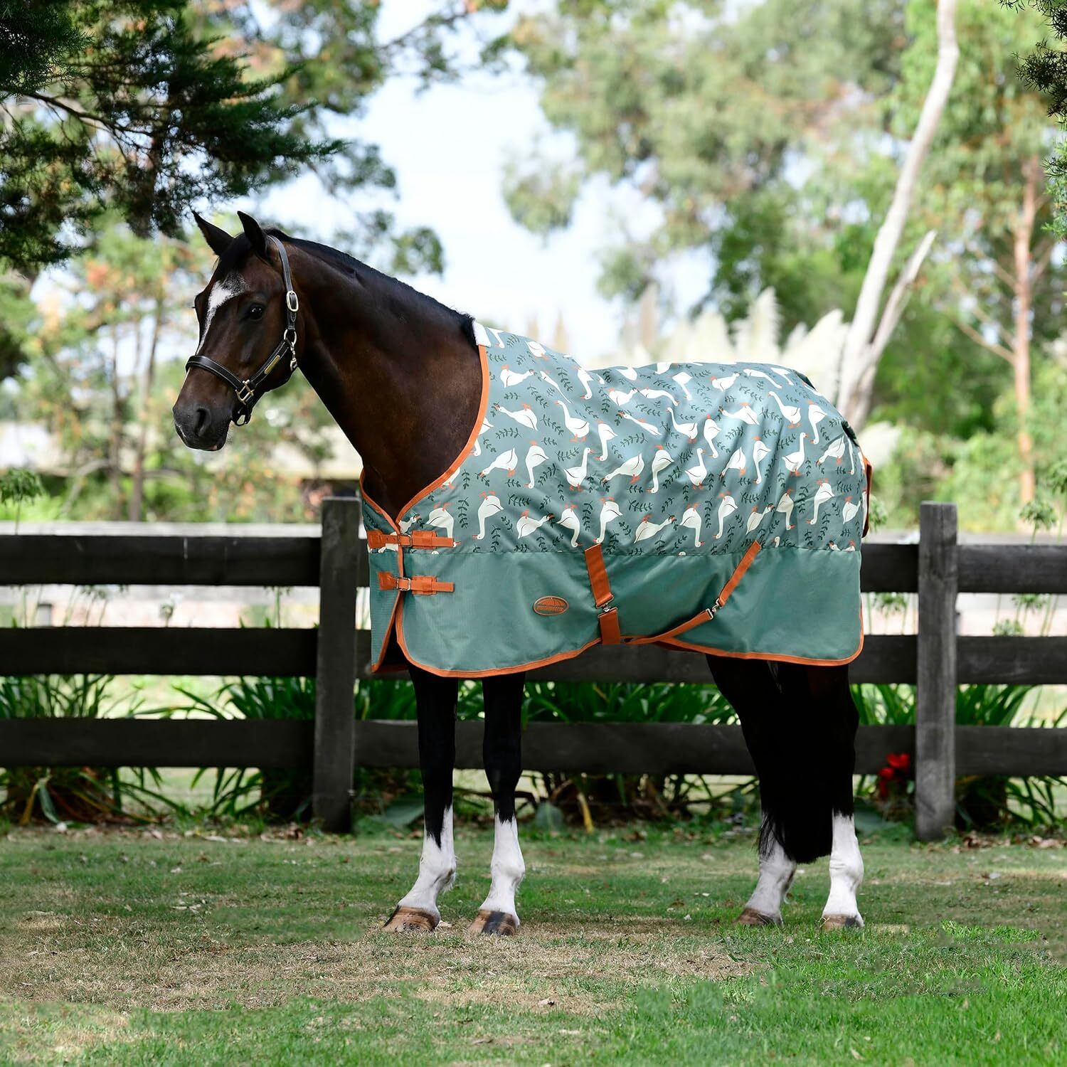 Picture of Weatherbeeta Comfitec Turnout Rug, Tyro Std Neck, Lite Plus, 50g, 2 Colours