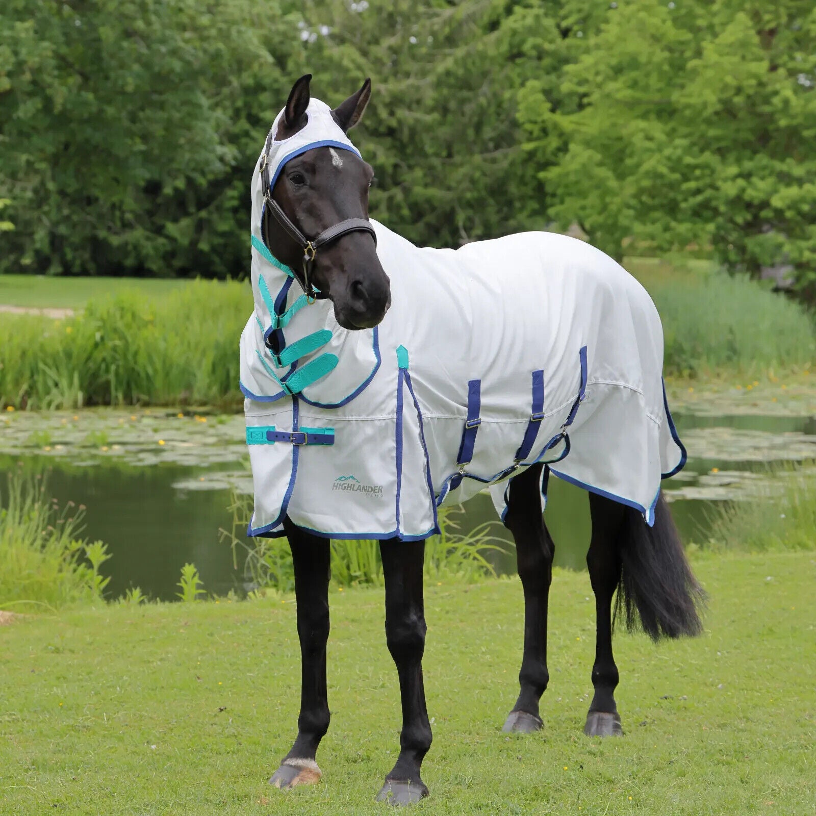Picture of Shires Highlander Plus Sweet-Itch Combo Fly Horse Rug, Belly Flap, 4'0"-7'3"