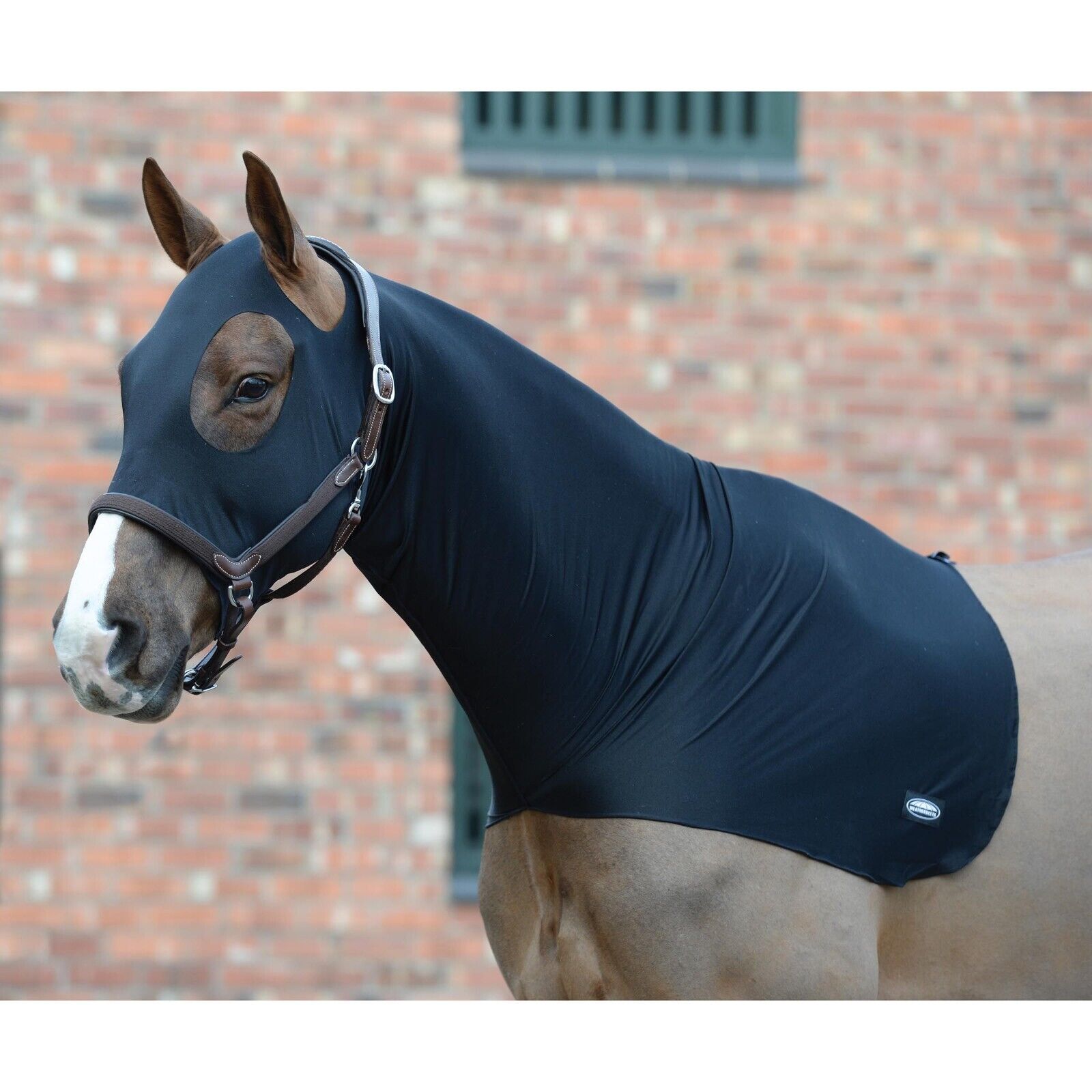 Picture of Weatherbeeta Stretch Hood,  Show Prep Horse Neck Hood.
